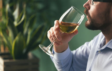 Every Thing You Need To Know About Pinot Grigio White Wine
