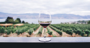 Your Guide To Zinfandel Wine