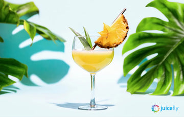 9 Exquisite Ready to Drink Cocktails