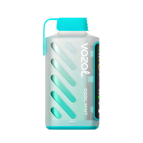 vozolgearpower20000coolmint