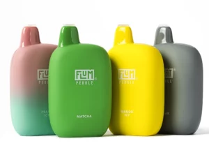 Flum Pebble Vapes 6000 Puffs 5% Nicotine