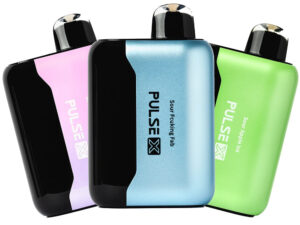 GEEK BAR Pulse X 25K Puffs | 5% Nicotine