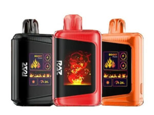 RAZ DC25000 | 25K Puffs